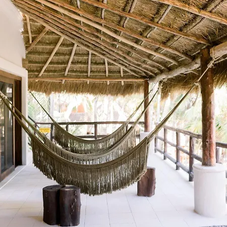 Hotel Nest 4*