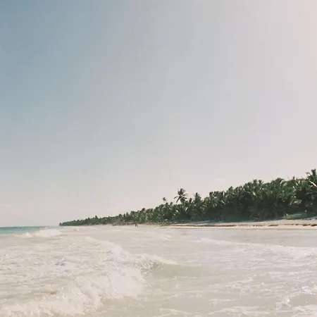 Hotel Nest Tulum