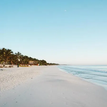 Playa Mambo Eco Cabanas Hotel 4*