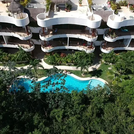 Selva Madre 203 Apartment *