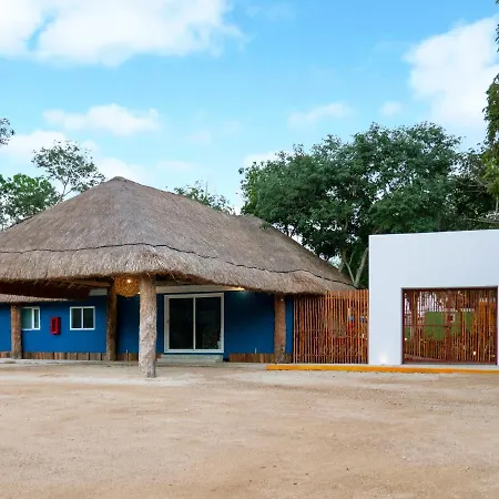 Hostal Colorbox Beds And