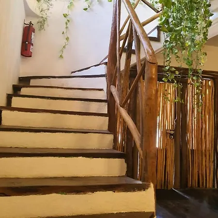 Elixir Homes Apartment Tulum