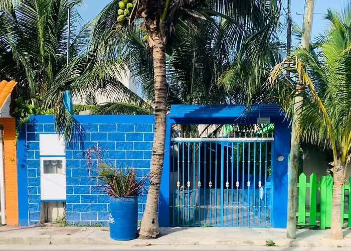 Casa Azul Very Local Experience