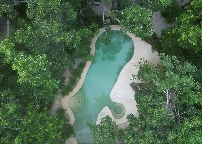 T2N1 Open Terrace Plunge In Tulum Holistika Area