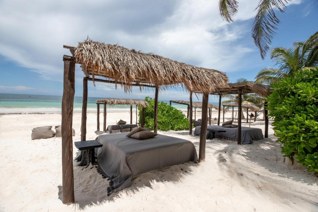 Nest Tulum