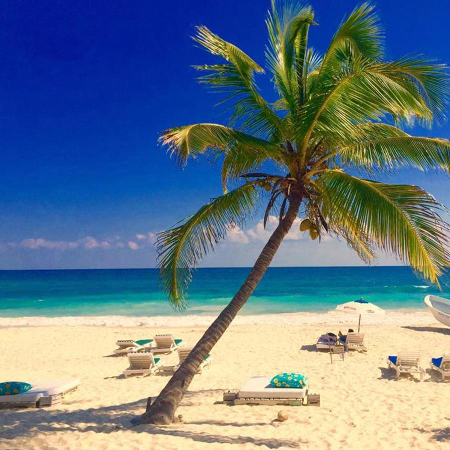 Hotel La Conchita (adults Only) 4*