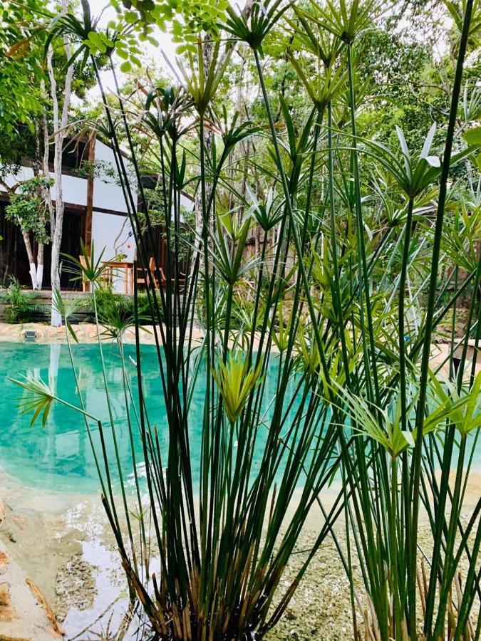 Nahouse Jungle Lodge Tulum
