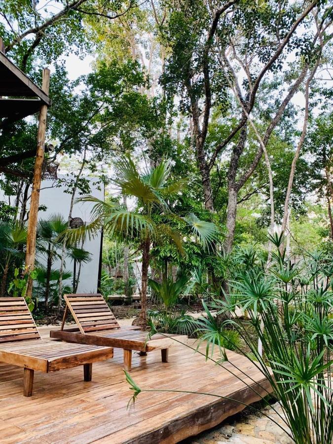 Nahouse Jungle Lodge