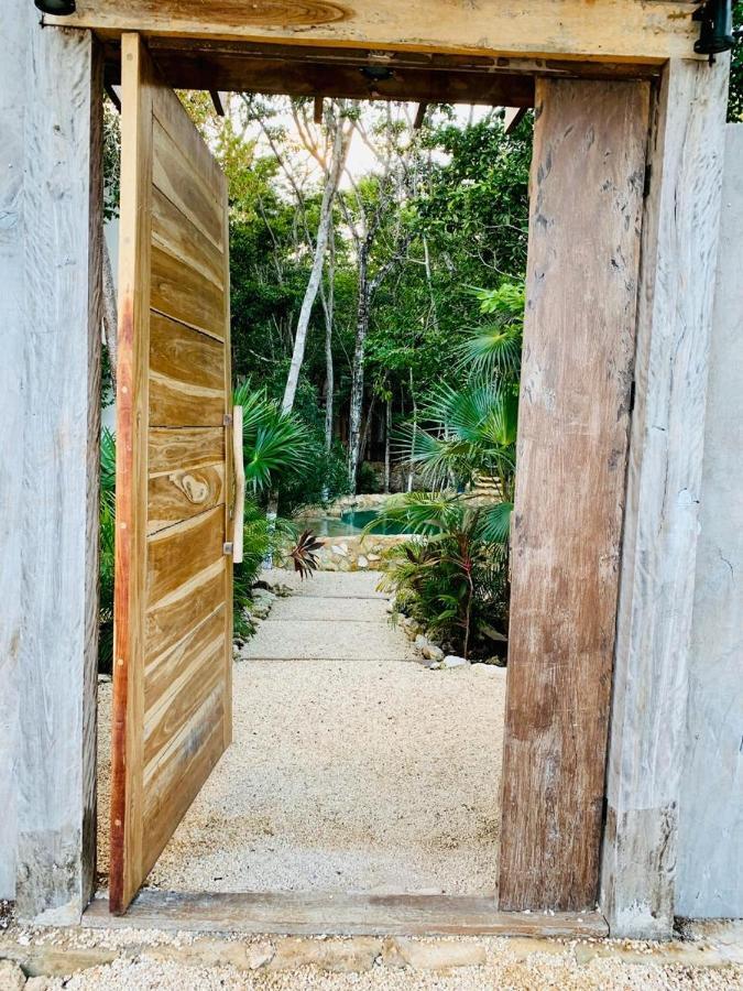 Lodge Nahouse Jungle