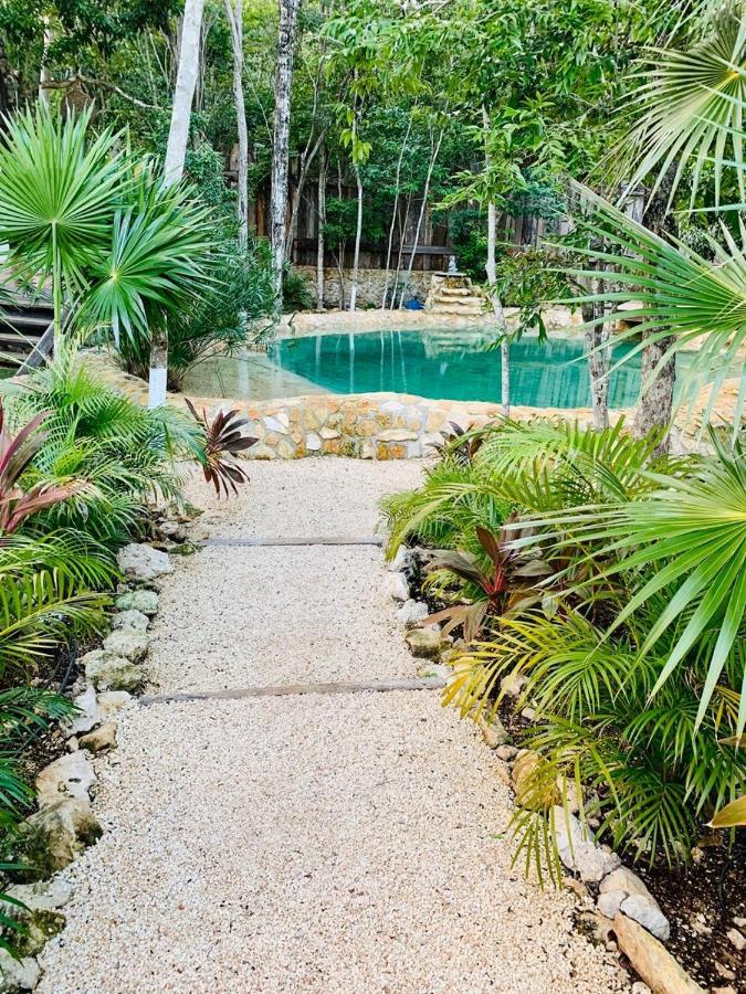 Lodge Nahouse Jungle