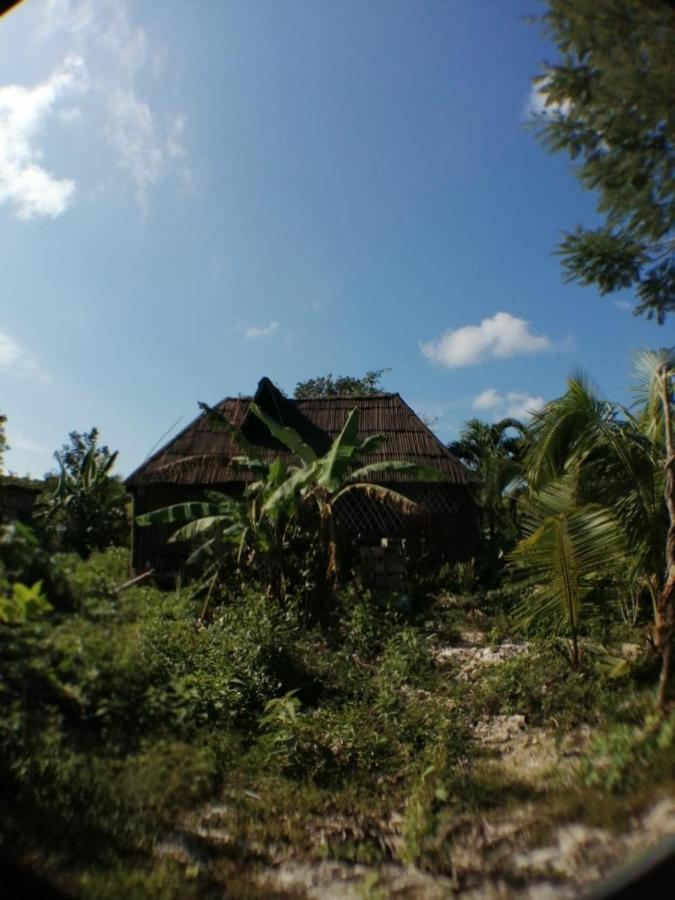 Holiday home Jungle Oasis Tulum
