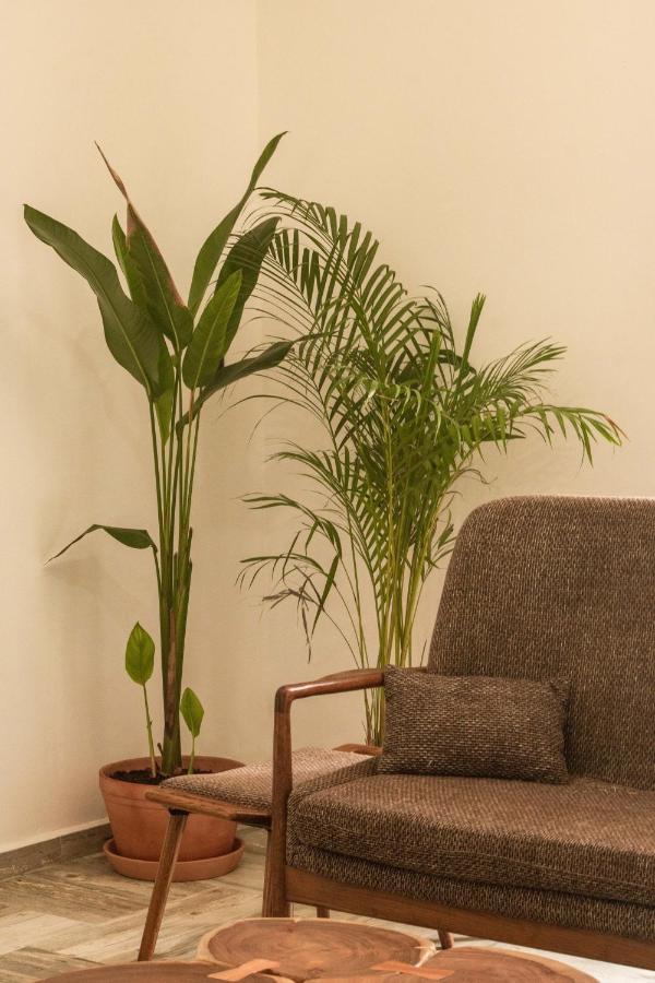- La Veleta Apartment *