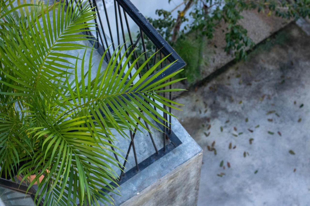 - La Veleta Apartment Tulum
