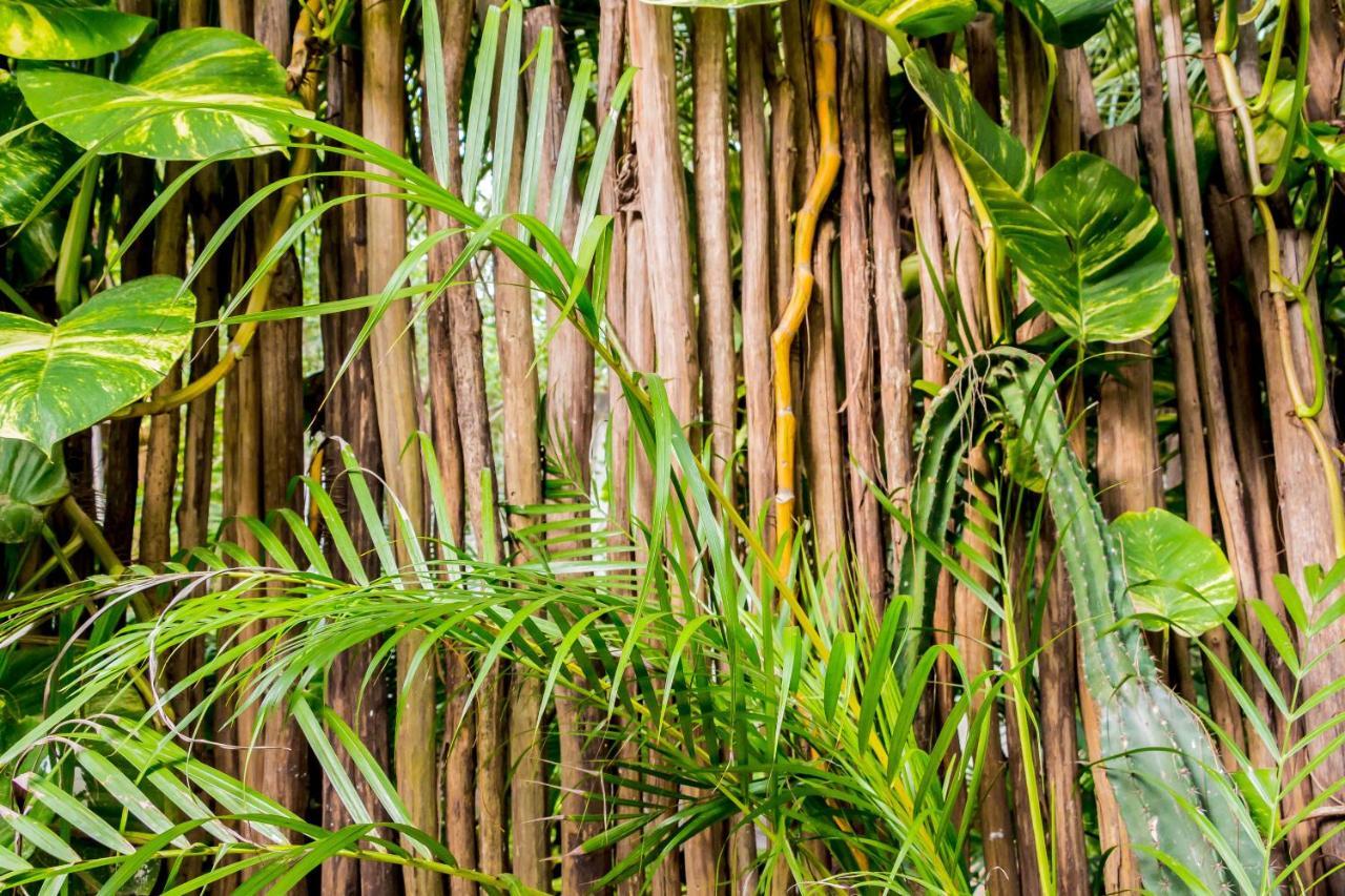 Oostel Smart - Playa 2* Tulum