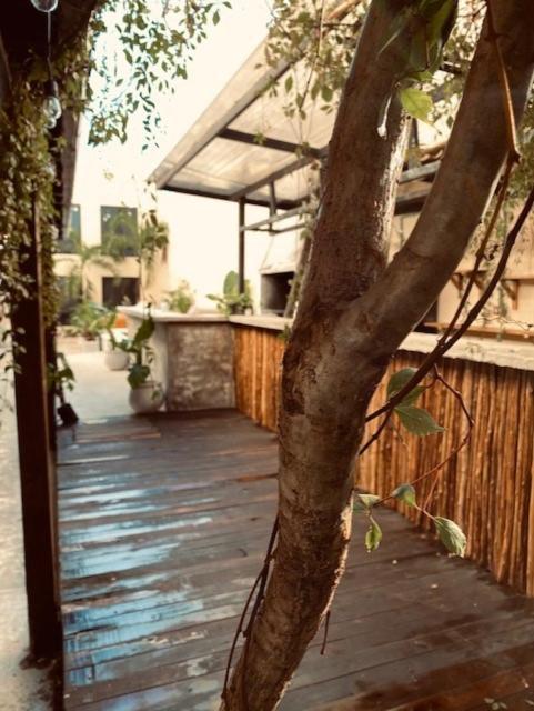 Guest house Casa Babel