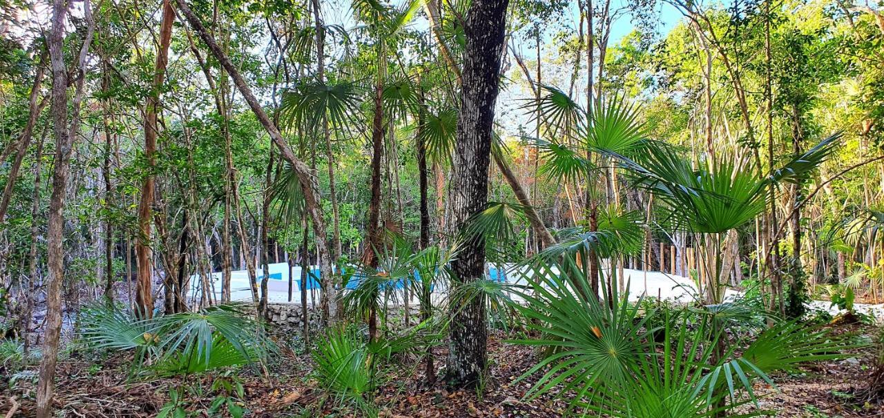 Pousada Energy Adult Lux Villas *