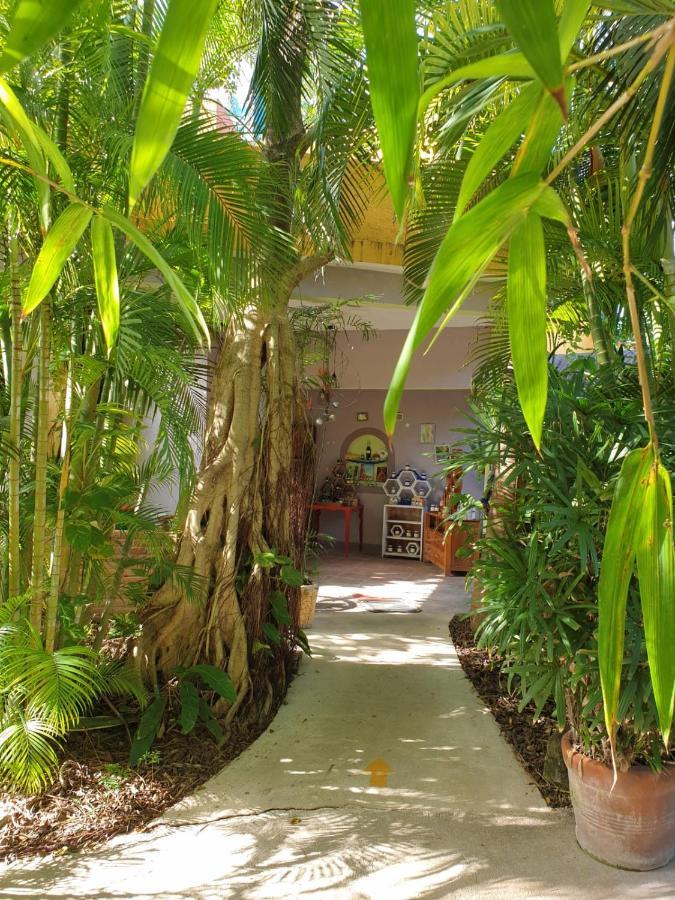 Casa Don Diego