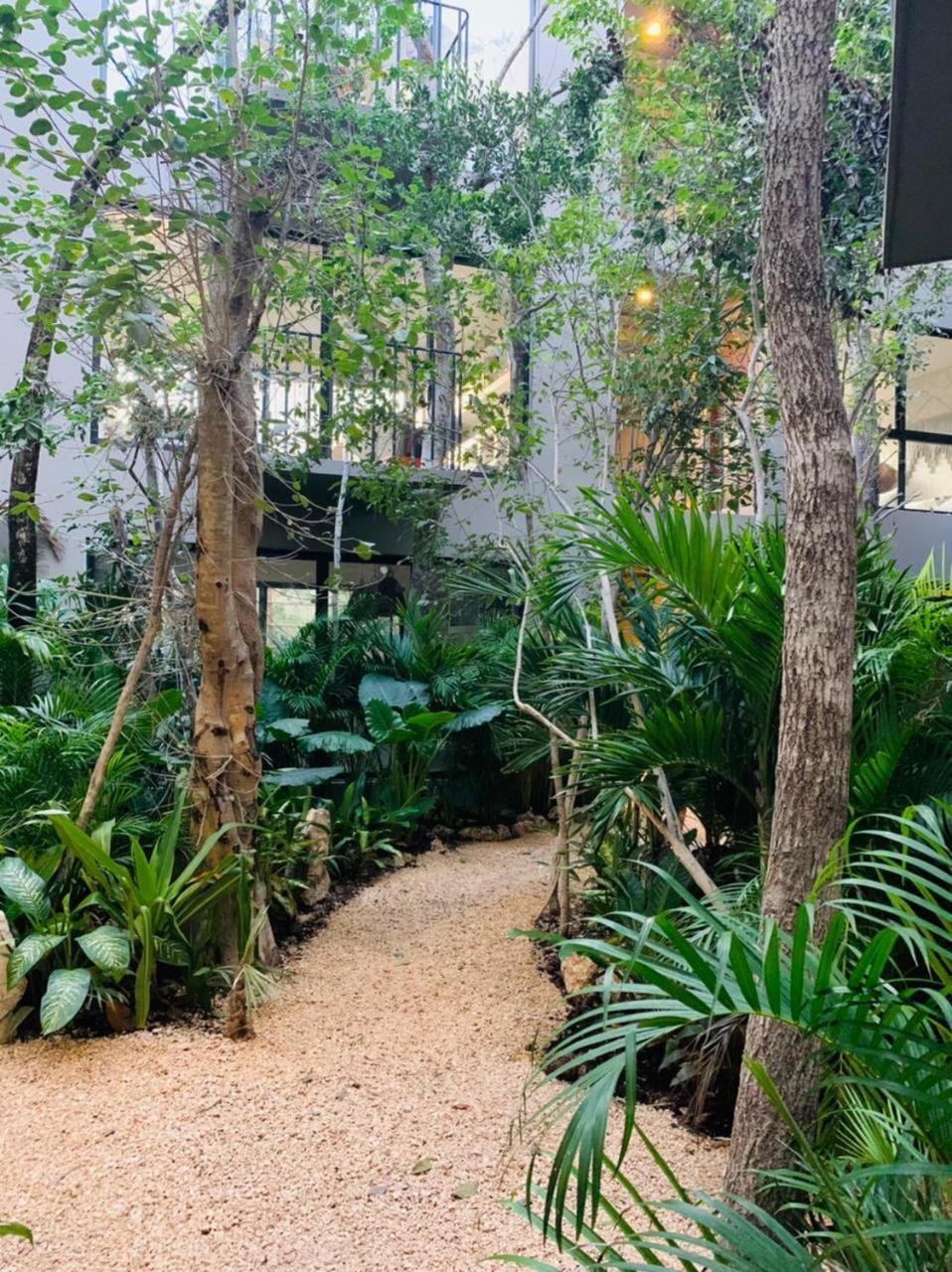 Apartment Boho Beautiful Special Fee For Bardo Daypass