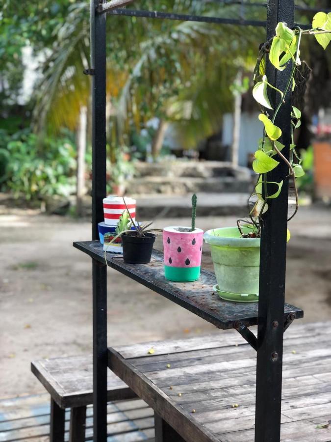 Bed & Breakfast Crucero