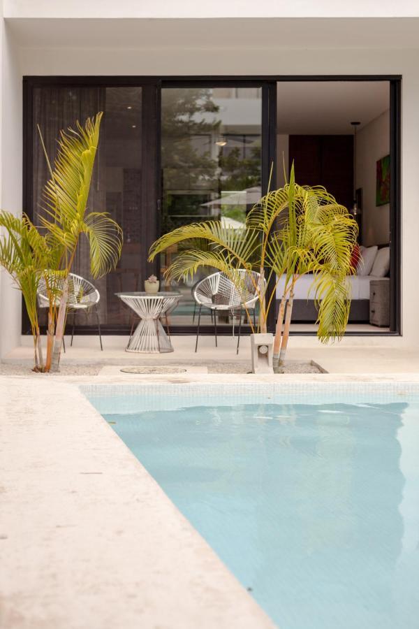 Apartment Ideal Retreat In Tulum, & Gym Free! Park Tulum