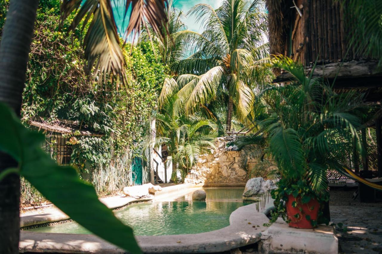 Lobo Acomodação com café da manhã  Tulum