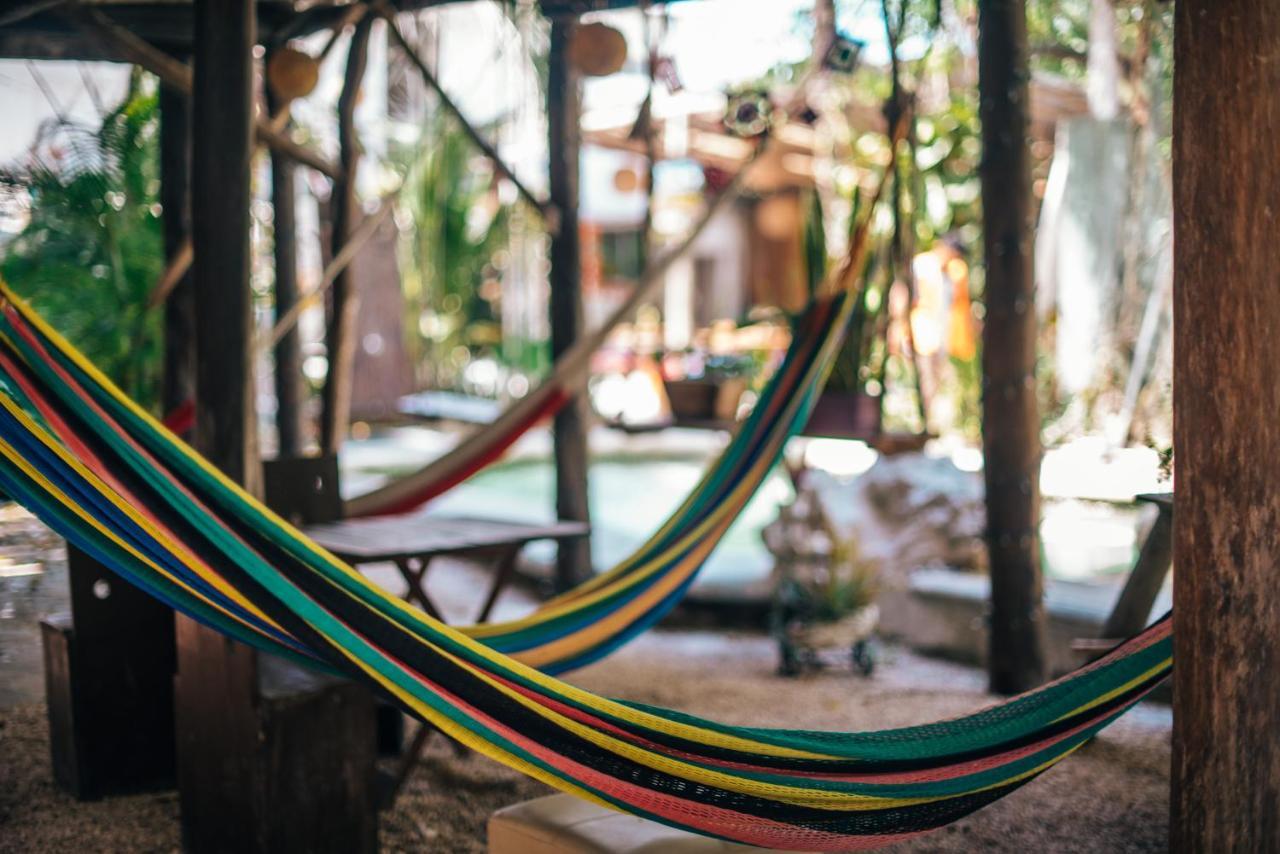 Acomodação com café da manhã  Lobo Tulum