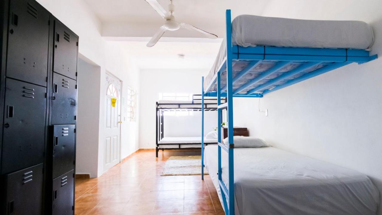 Albergue Weary Traveler Tulum