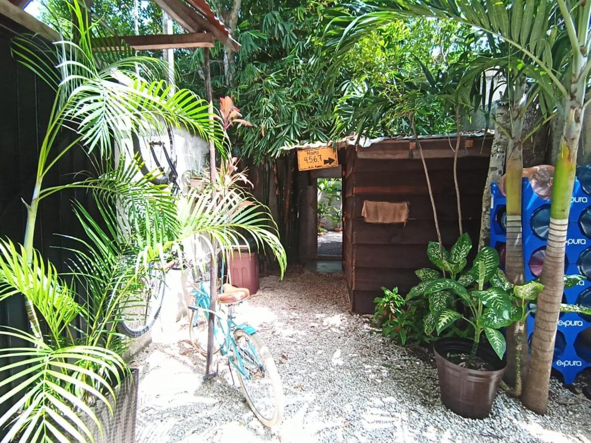 Primitive Selfcheck-in Adults Only Guest house Tulum