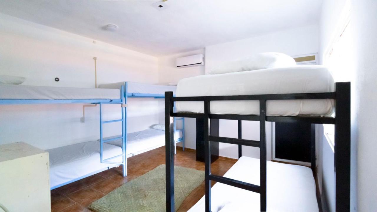 Albergue Weary Traveler Tulum