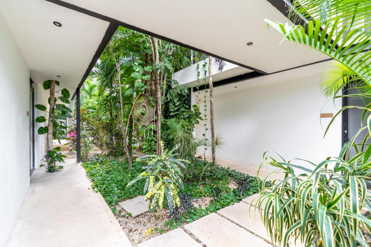 Apartment Loft Laurel Plunge Pool , Wifi, A/c, Parking