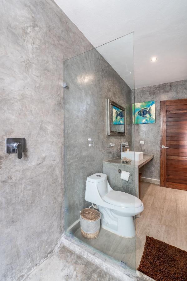 Loft Laurel Plunge Pool , Wifi, A/c, Parking Apartment *