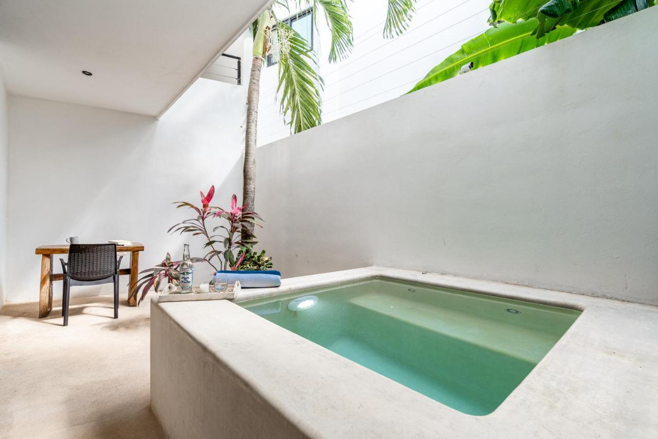 Apartment Loft Laurel Plunge Pool , Wifi, A/c, Parking Tulum