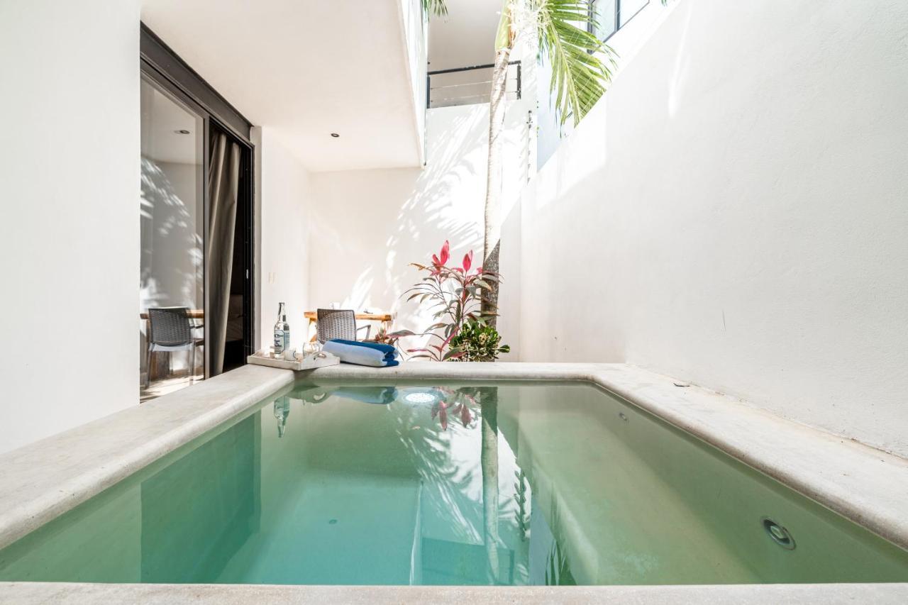 Loft Laurel Plunge Pool , Wifi, A/c, Parking Apartment
