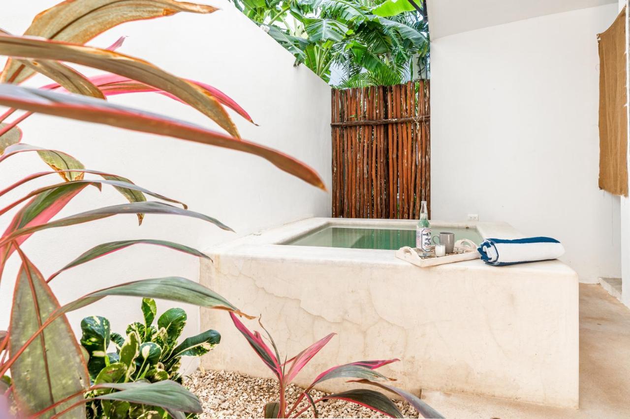 Apartment Loft Laurel Plunge Pool , Wifi, A/c, Parking Tulum