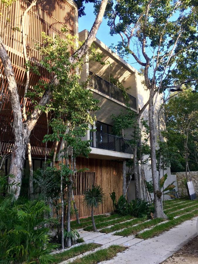 Acinte By Endemico Tulum