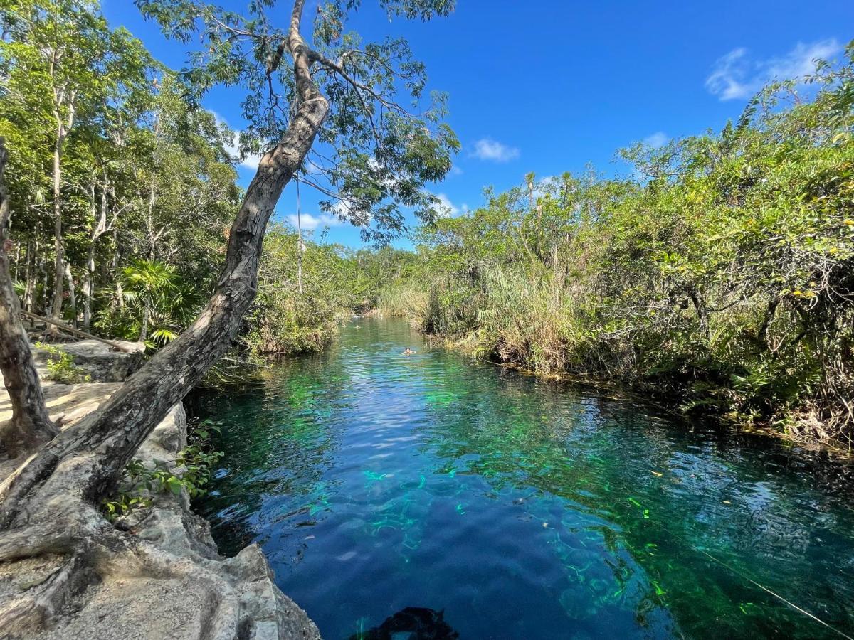 Holiday home Casa Semilla Tulum Best Location To Explore Cenotes Tulum
