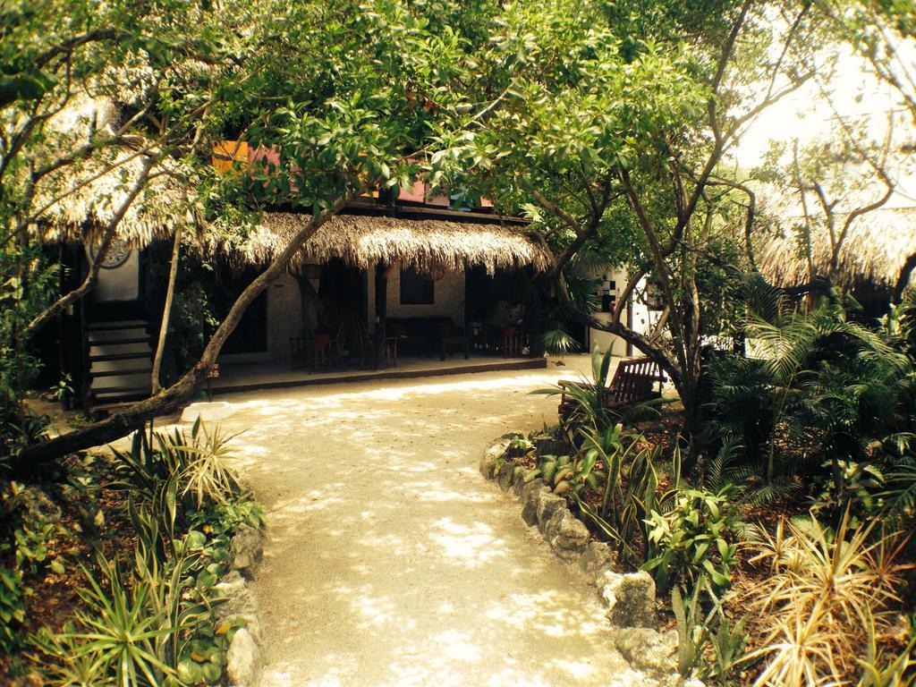 Yoga Shala 3*