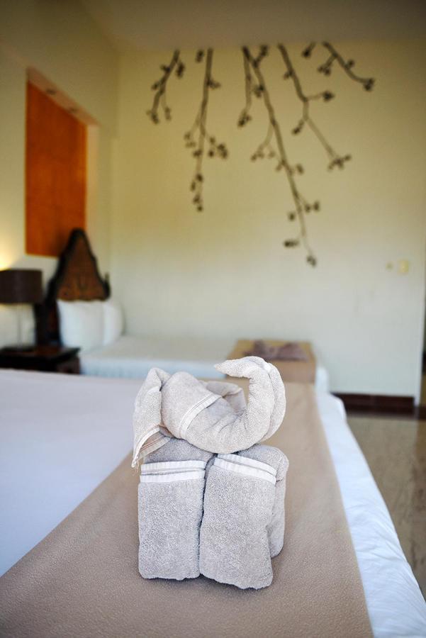 Hotel Mt 3*
