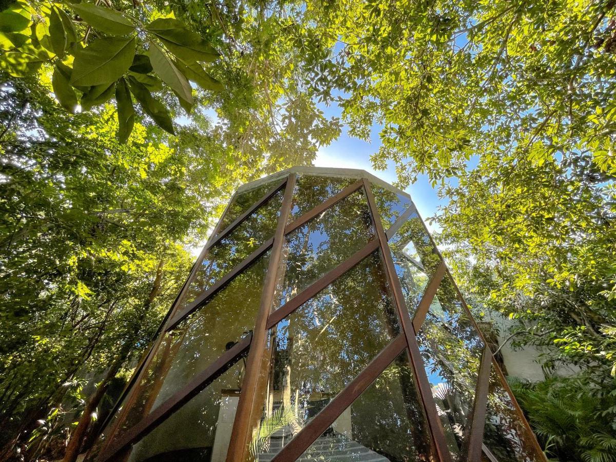 Hotel Selvatik - Jungle Pod