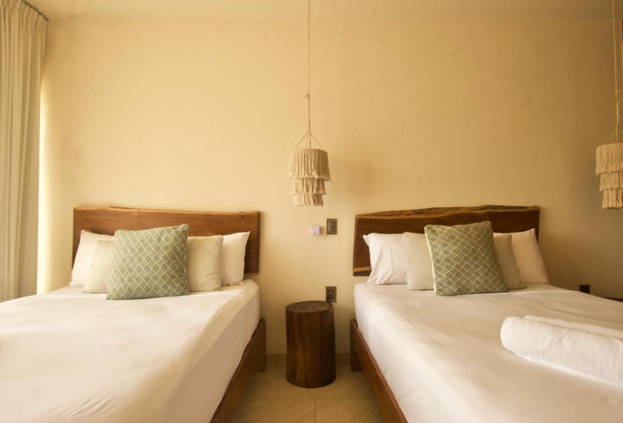 Acinte By Endemico 2*