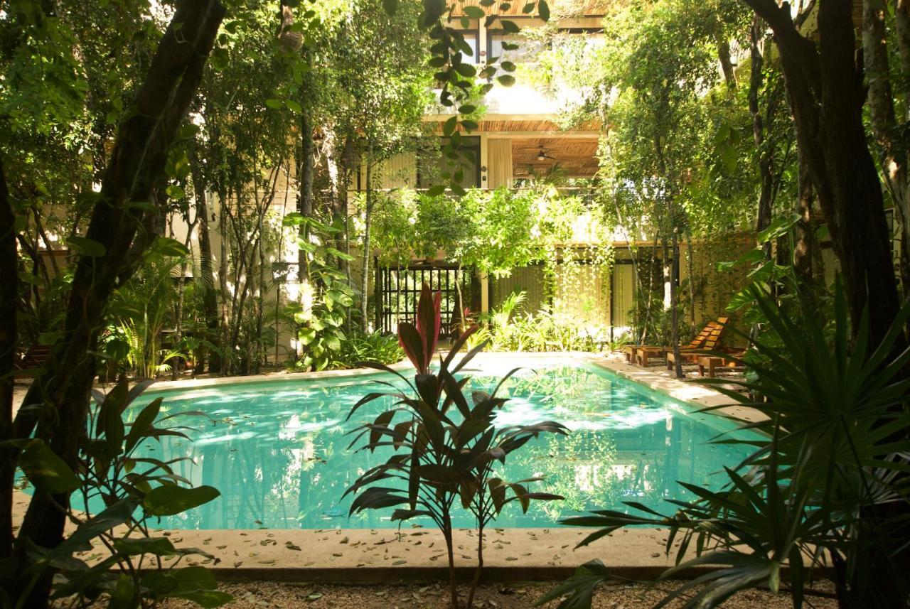 Acinte By Endemico Tulum