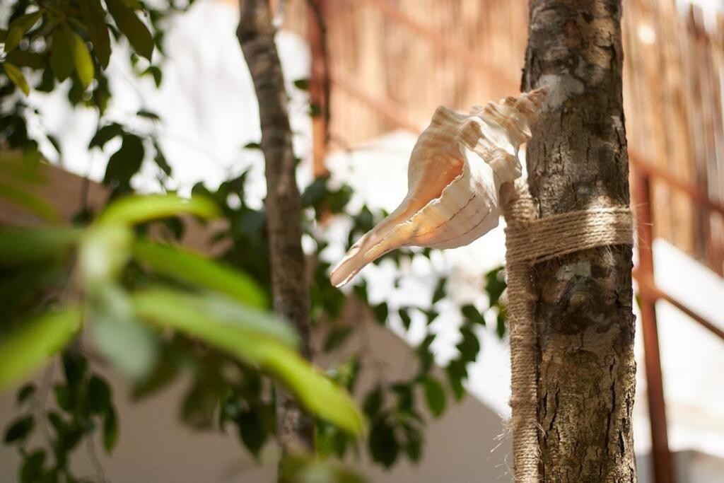 Luxury&nature Rosita Tulum/ Work&rest Spaces Tulum