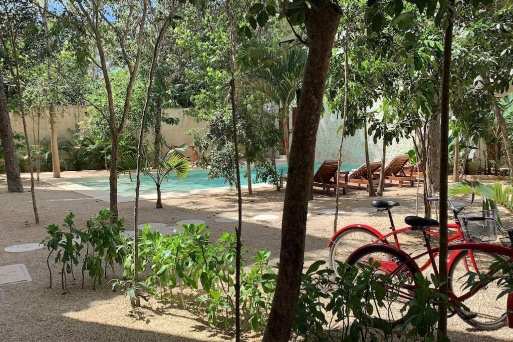 Chic-modern Apt W/pool, Garden, Parking & 3 Bikes Apartment Tulum
