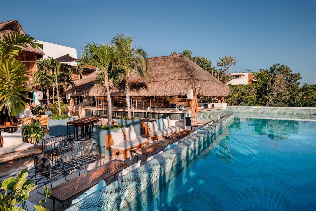 Mayan Monkey - Social (adults Only) Hostel *