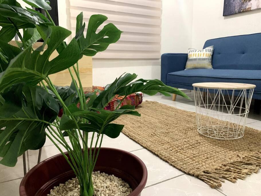 Increible Depa Tuluminati Con Alberca 10min Centro Apartment Tulum