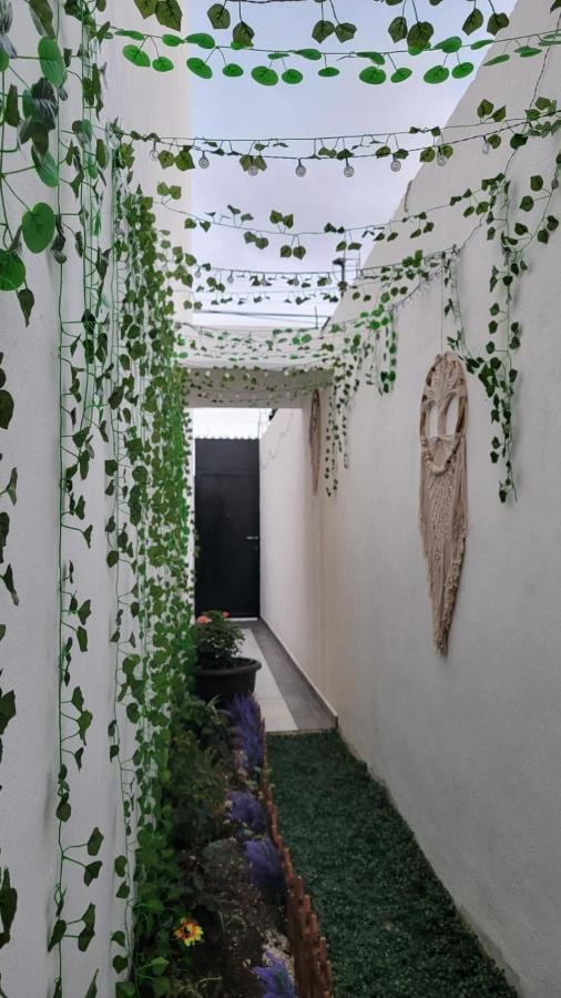 Casa Neptuno Hospedagem domiciliar Tulum