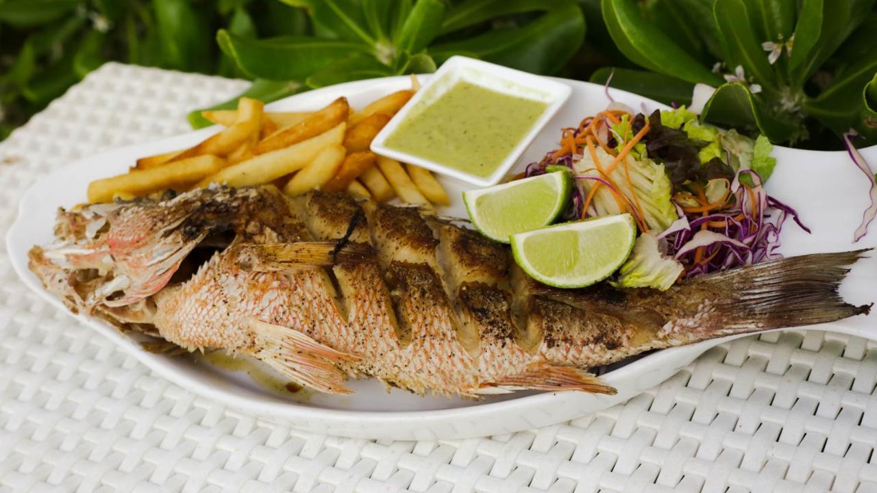 Estrellas - Located At The Party Zone