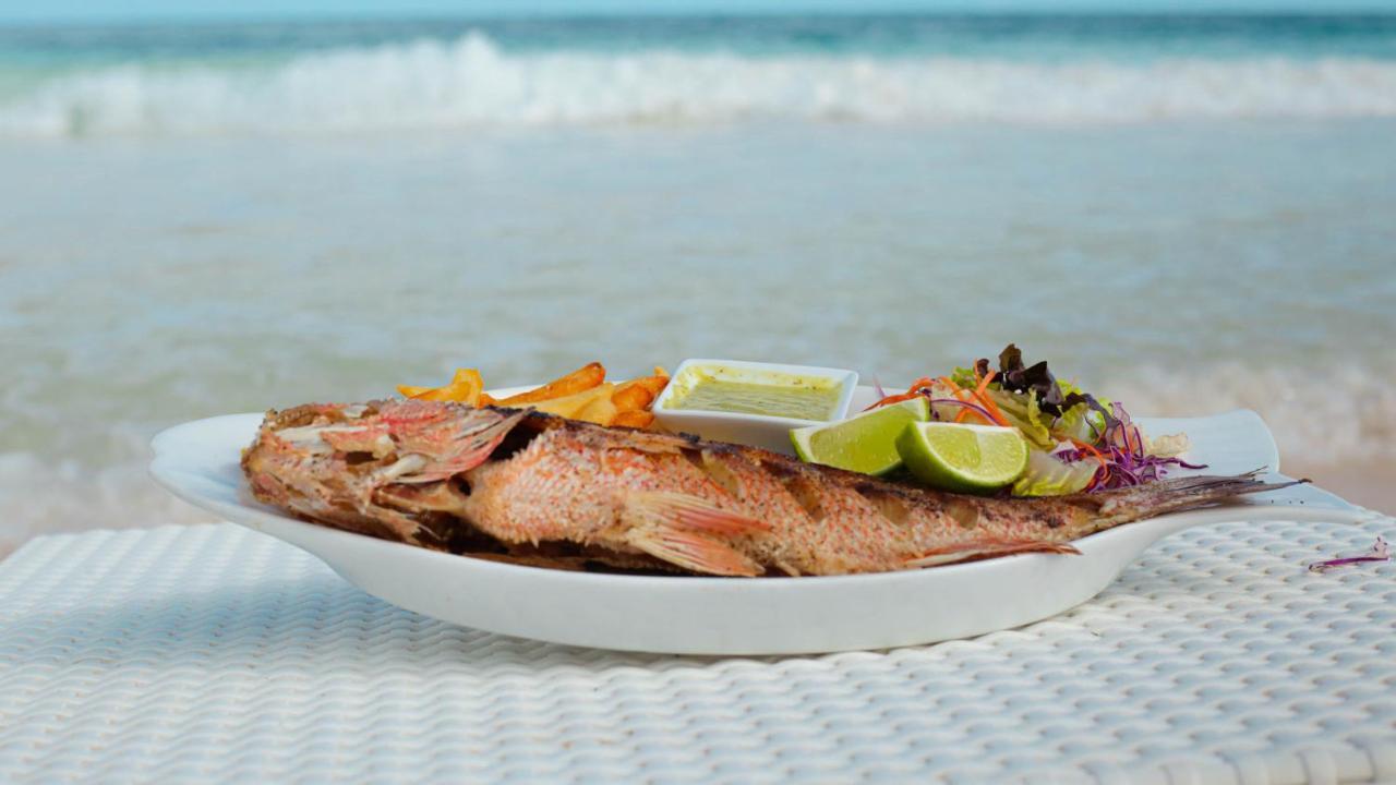 Estrellas - Located At The Party Zone