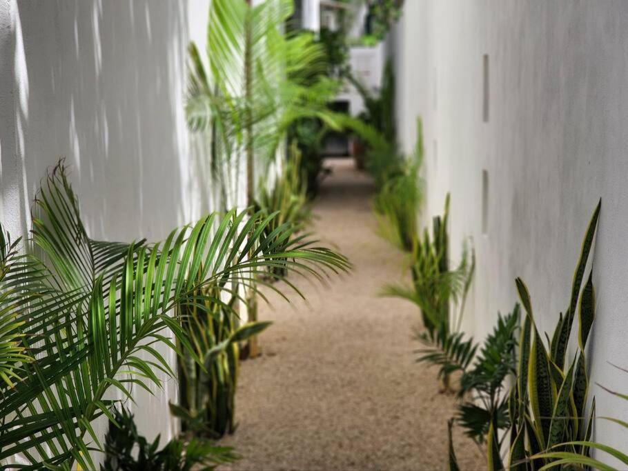 Apartment Amazing Jungle Retreat Lahkah