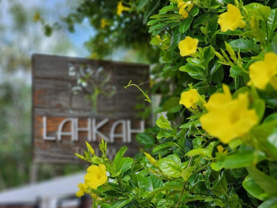 Amazing Jungle Retreat Lahkah *